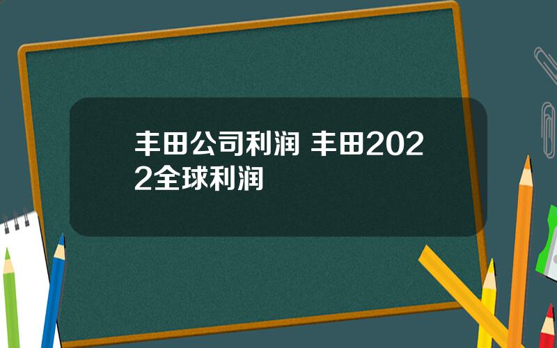 丰田公司利润 丰田2022全球利润